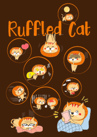 Super Ruffled Cat