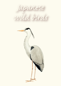 日本の野鳥