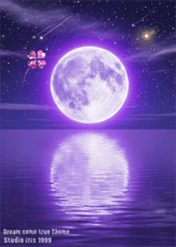 Lucky Moon and Dolphin/1