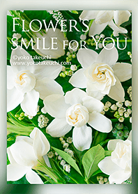 Flower's smile ～花のほほえみ～