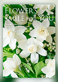 Flower's smile