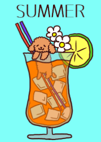 Summer Toy-poodle Theme #fresh