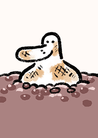 日子還是要過鴨-年年糕升鴨