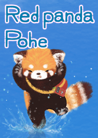 Red panda Pohe  Blue Sky