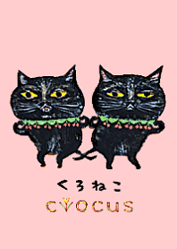 black cat  cvocus