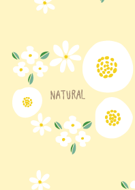 Fashionable white flowers16 from Japan