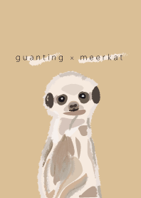 guanting x meerkat