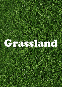 Grassland