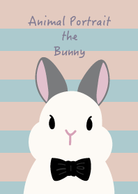 動物肖像 - 兔子