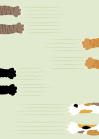 Cats scratching_white1