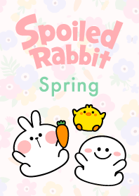 Spoiled Rabbit Spring