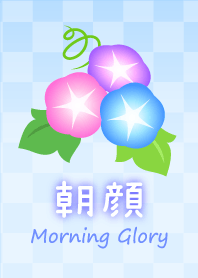 爽やかな和柄 朝顔の着せかえ