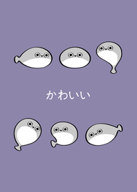 我養的薩卡班甲魚(莫蘭迪紫色)