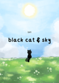 Black cat and sky