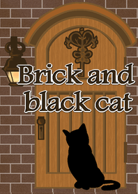 Brick and black cat !!