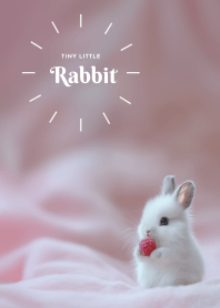 My Tinny little rabbit 2-pu3