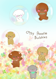 toypoodle＆bubbles