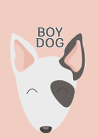 BOY DOG