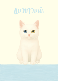 แมวขาวมณี (เบจ)