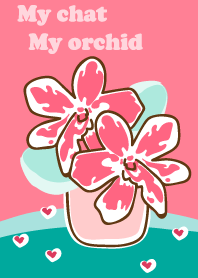 My chat my orchid 16