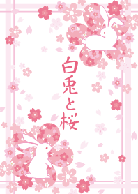 白兎と桜