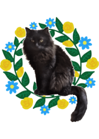 Jissha!botanical black cat