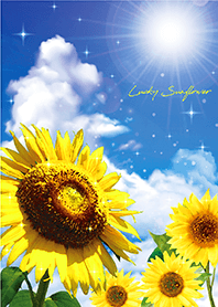 Bring good luck Blue sky & Sunflowers 5