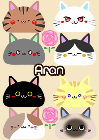Aran Scandinavian cute cat4