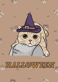 meow's halloween / mocha