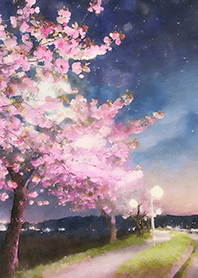 Beautiful night cherry blossoms#1879