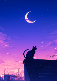 屋頂的貓咪 1