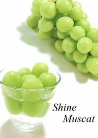 My favorite, the Shine Muscat14