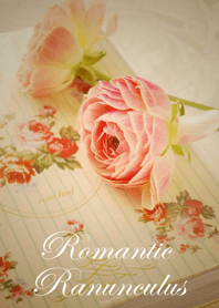 Romantic Ranunculus