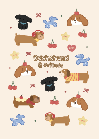 Dachshund dog lover happy time