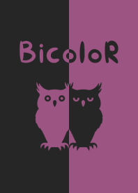 バイカラー [フクロウ] 紫×黒 140