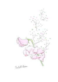 In full bloom1