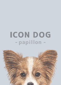 ICON DOG - Papillon - PASTEL BL/02