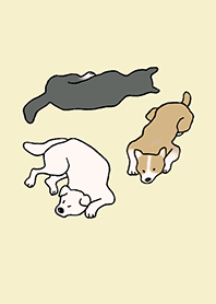 Dogs wancorase_05_Ivory 1