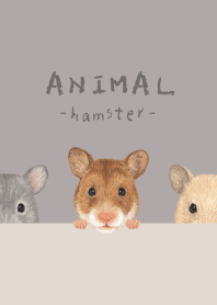 ANIMAL - Golden hamster - GRAY