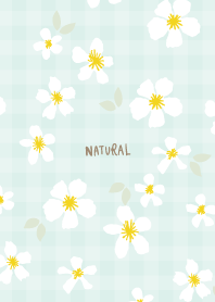 white flower adult color29 from Japan