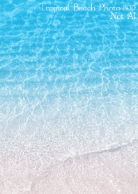 Tropical Beach Photo 300 Not AI