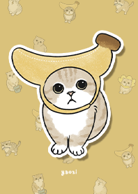 neko combo3 - mustard