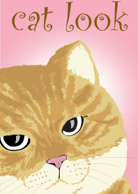 cat look