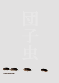 団子虫