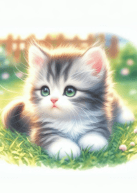 Fat cat cute cuddly n.15