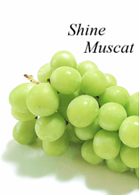 My favorite, the Shine Muscat1.