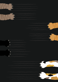 Cats scratching_black