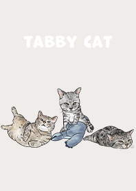 tabbycat5 - light beige