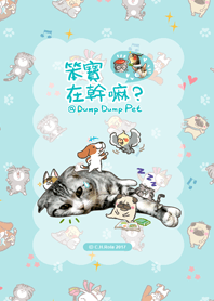 Dump Dump Pet