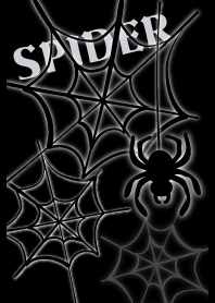 SPIDER and SPIDER WEB 2.